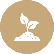 Sprout icon on brown circular background