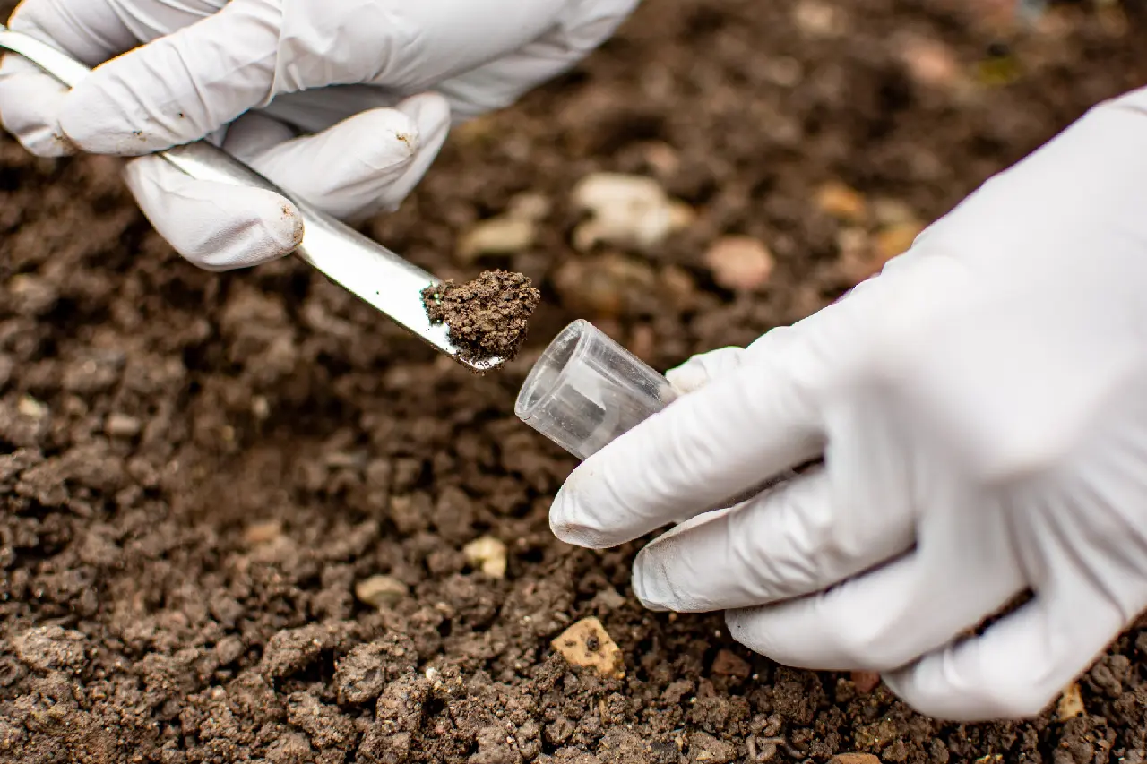 Gloved hands collecting soil sample