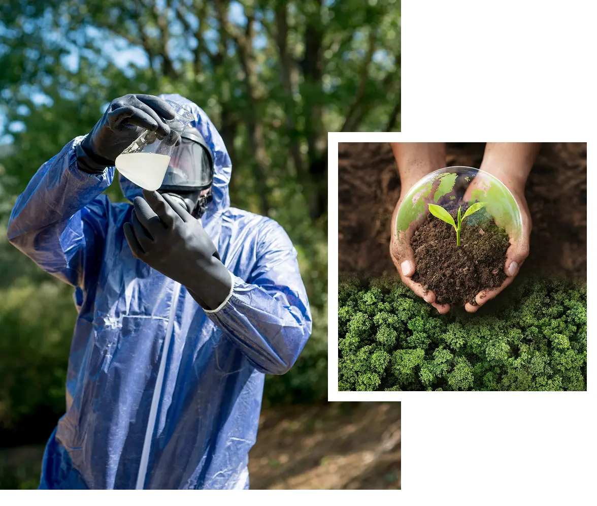 Hands holding soil and seedling